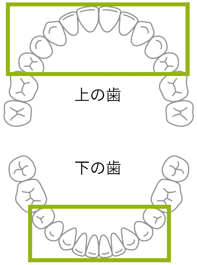 歯並びの図